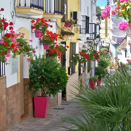 Apartament - Playa - 2 Y Terrazas Con Jardines Al Lado Del Mar Pa25 *