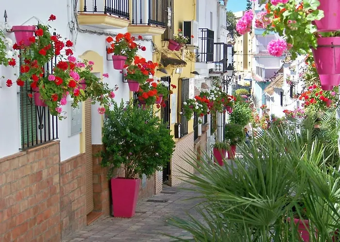 Apartment - Playa - 2 Y Terrazas Con Jardines Al Lado Del Mar Pa25 *